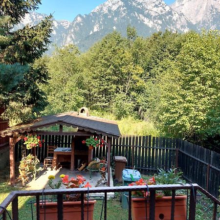 B House Buşteni Eksteriør bilde