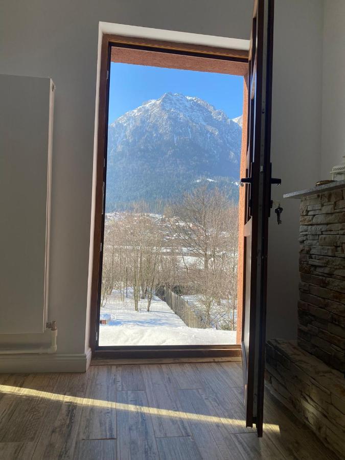 B House Buşteni Eksteriør bilde