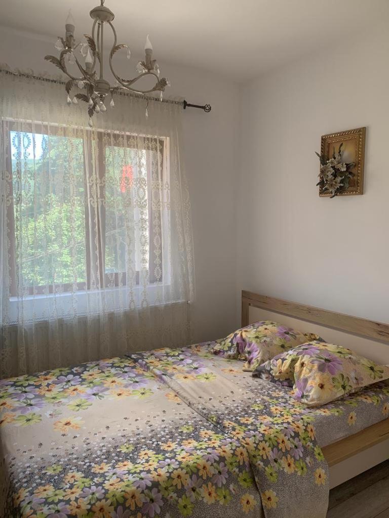 B House Buşteni Eksteriør bilde